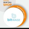 Bitwage business account