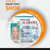 USA DRIVERS LICENSE ALL STATES