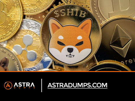 You are currently viewing How to buy Shiba Inu coin and avoid high Ethereum gas fees 