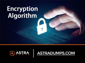 Read more about the article How to Use Encryption Algorithms – Updated Guide for Beginners