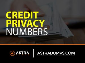 Read more about the article WHAT IS CPN (CREDIT PRIVACY NUMBER) – HOW DOES IT WORK
