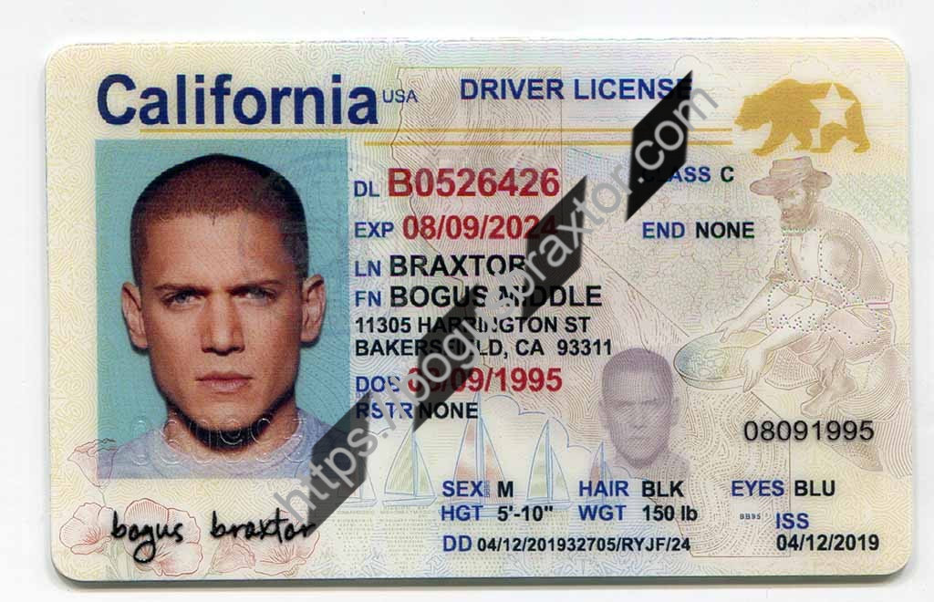 You are currently viewing Fake Driver’s Licenses: 3 Ways to Spot Them | Astra Dumps
