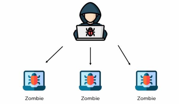 BOTNET-LESSONS-768x447-1.png BOTNET LESSON 2023