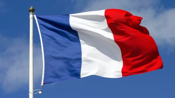 FRANCE CCV – 99% FRESH SNIFFED CCV